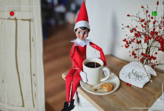 Elf On The Shelf Personalized Video